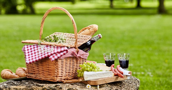 Summer Picnic Safety Tips - True Care